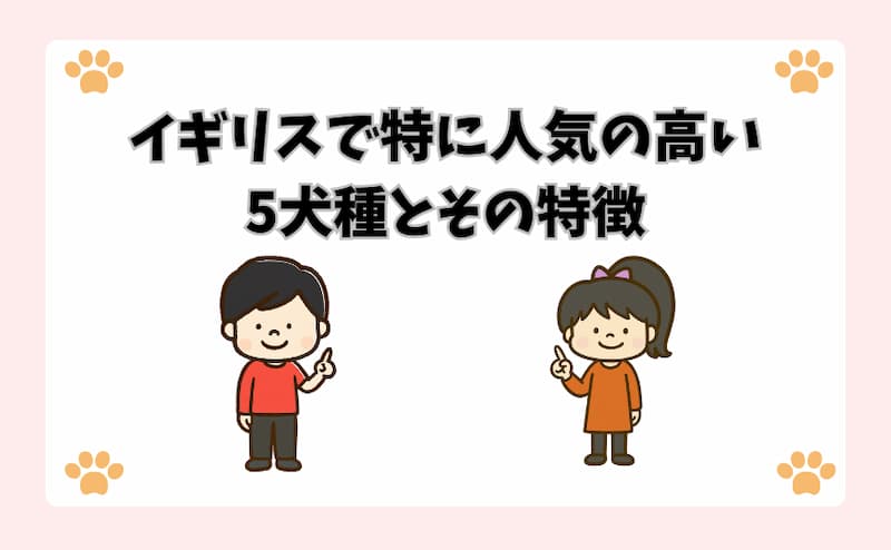 イギリスで特に人気の高い5犬種とその特徴