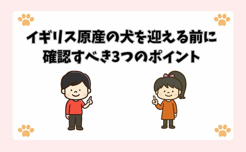 イギリス原産の犬を迎える前に確認すべき3つのポイント