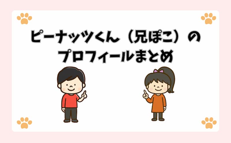 ピーナッツくん（兄ぽこ）のプロフィールまとめ