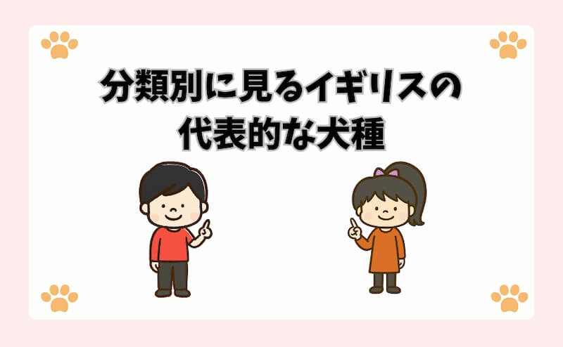 分類別に見るイギリスの代表的な犬種