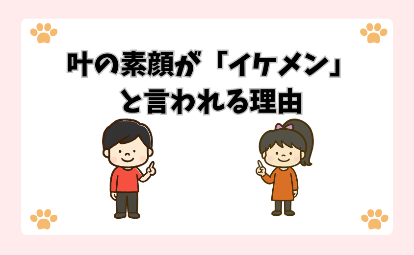 叶の素顔が「イケメン」と言われる理由