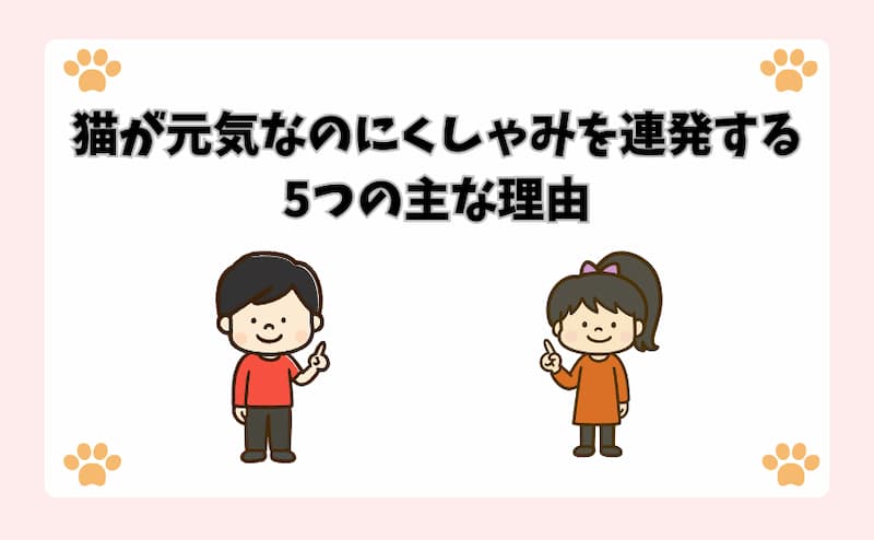 猫が元気なのにくしゃみを連発する5つの主な理由