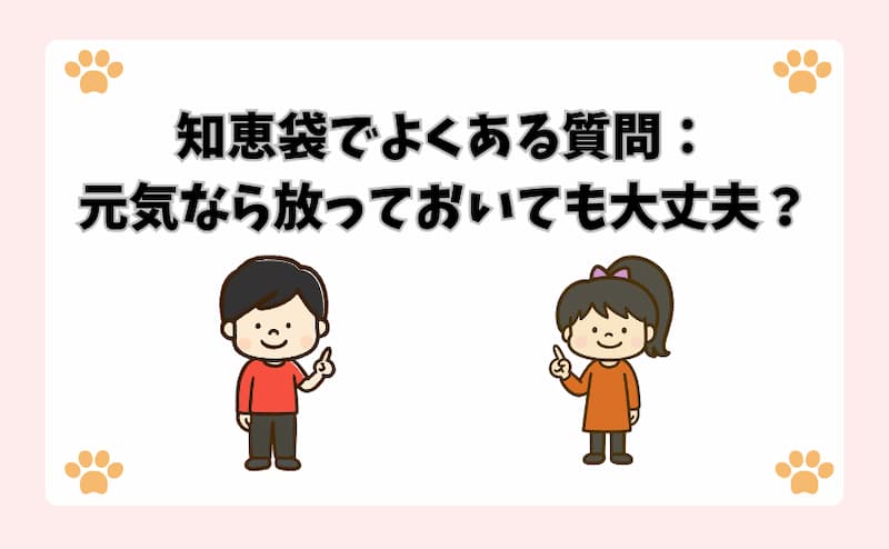 知恵袋でよくある質問：元気なら放っておいても大丈夫？