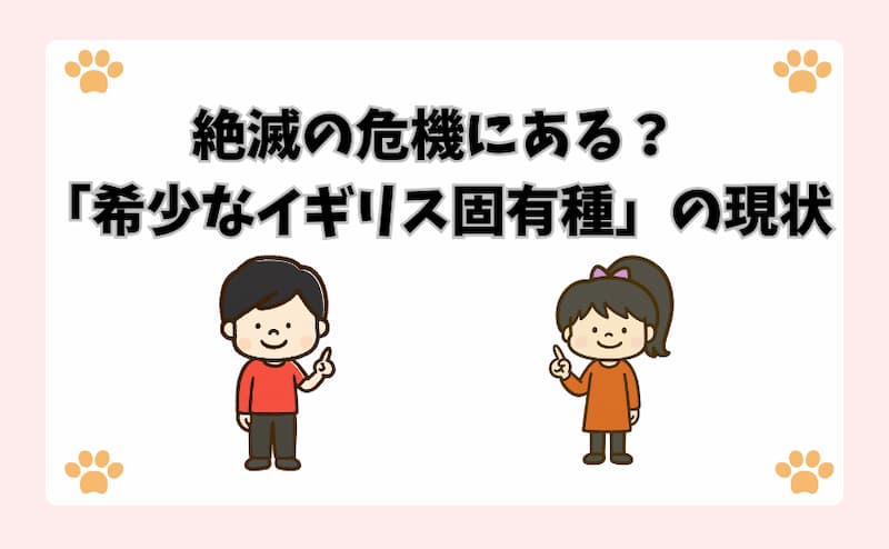 絶滅の危機にある？「希少なイギリス固有種」の現状