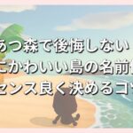 あつ森で後悔しない！最高にかわいい島の名前候補とセンス良く決めるコツ
