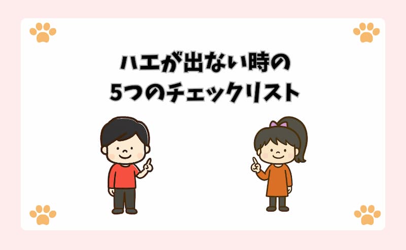 ハエが出ない時の5つのチェックリスト