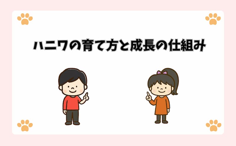 ハニワの育て方と成長の仕組み
