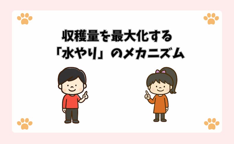 収穫量を最大化する「水やり」のメカニズム