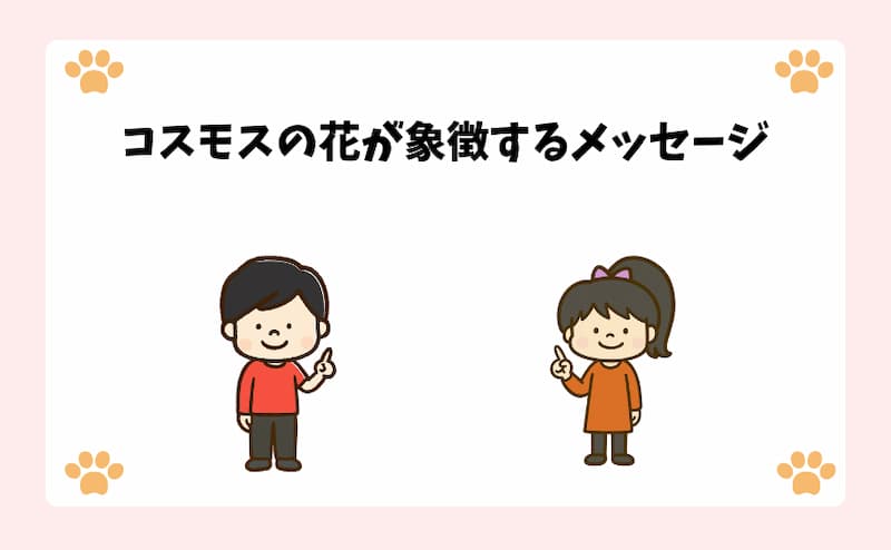 コスモスの花が象徴するメッセージ