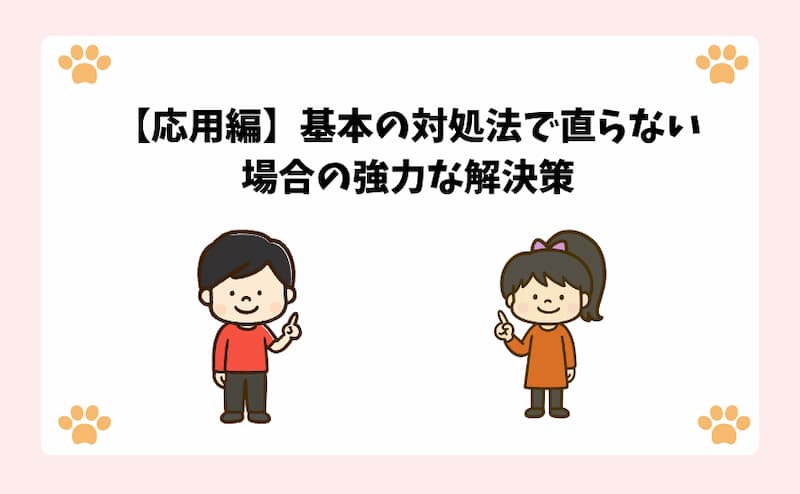 【応用編】基本の対処法で直らない場合の強力な解決策