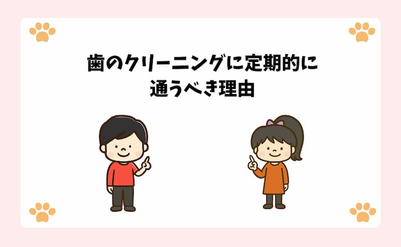 歯のクリーニングに定期的に通うべき理由
