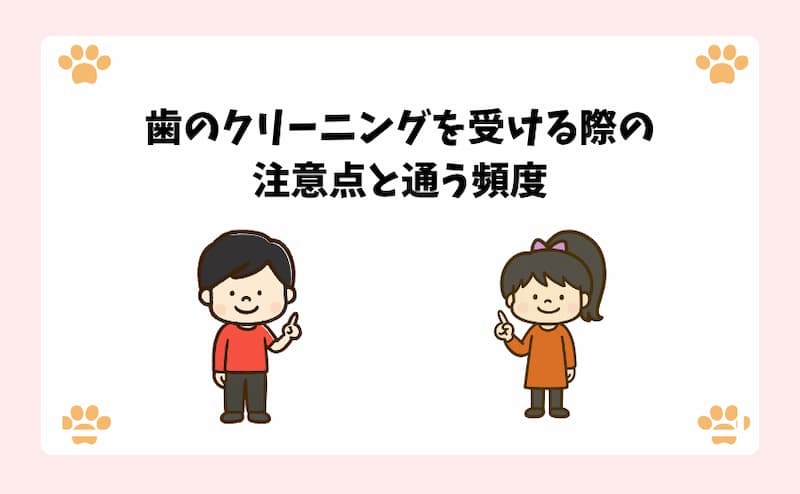 歯のクリーニングを受ける際の注意点と通う頻度.