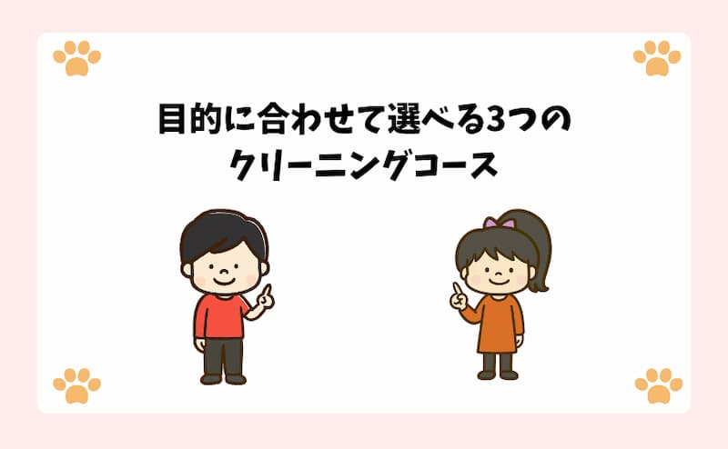 目的に合わせて選べる3つのクリーニングコース